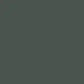 Verde timo color field, glossy matt lacquered surface, uniform deep green tone, consistent color throughout the composition, smooth texture.
